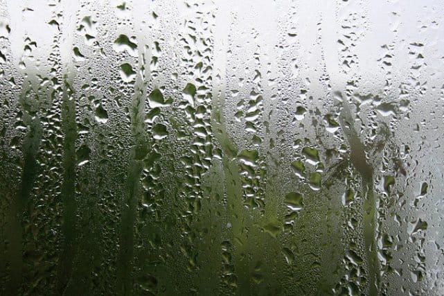 How Humidity Affects Overhead Garage Doors and How We Can Extend Their Life in Houston